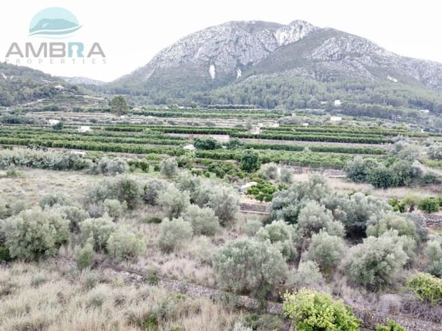 Terre non Aménagée à vendre à Pego - 79 900 € (Ref: 9412540)