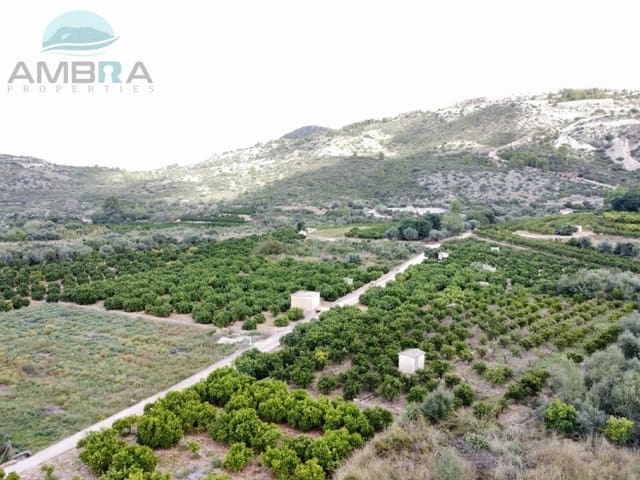 Terre non Aménagée à vendre à Pego - 79 900 € (Ref: 9412540)