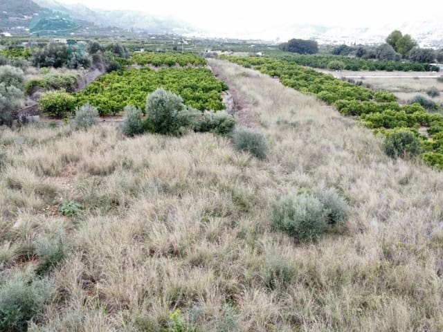 Terre non Aménagée à vendre à Pego - 79 900 € (Ref: 9412540)