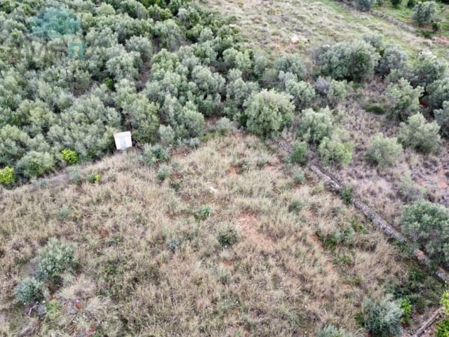 Terre non Aménagée à vendre à Pego - 79 900 € (Ref: 9412540)