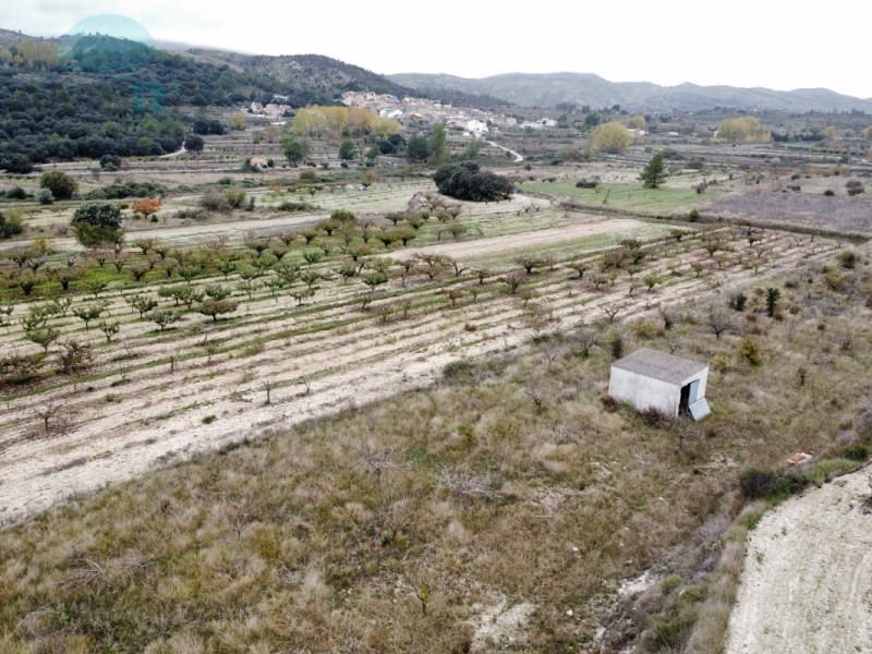 Terreno Não Urbanizado para venda em La Vall d'Alcala - 25 000 € (Ref: 9412541)