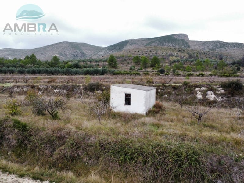 Terreno Não Urbanizado para venda em La Vall d'Alcala - 25 000 € (Ref: 9412541)