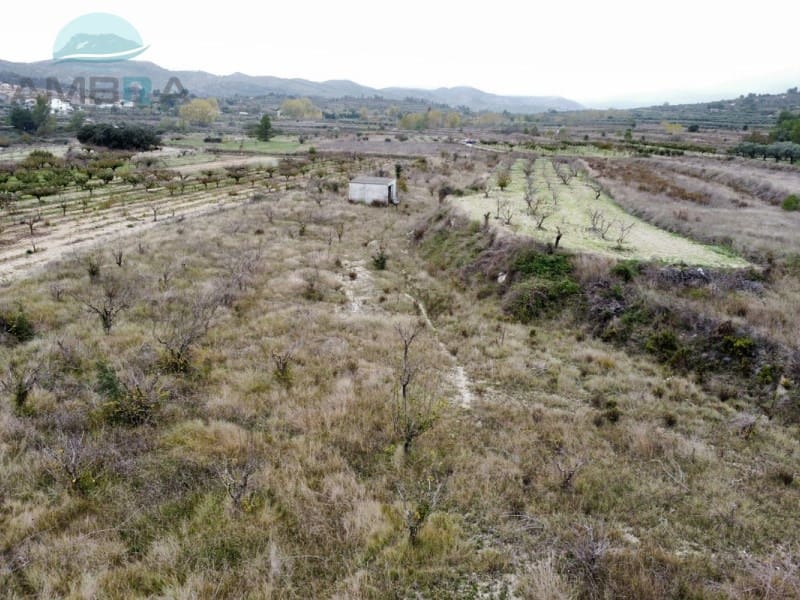 Terreno Não Urbanizado para venda em La Vall d'Alcala - 25 000 € (Ref: 9412541)