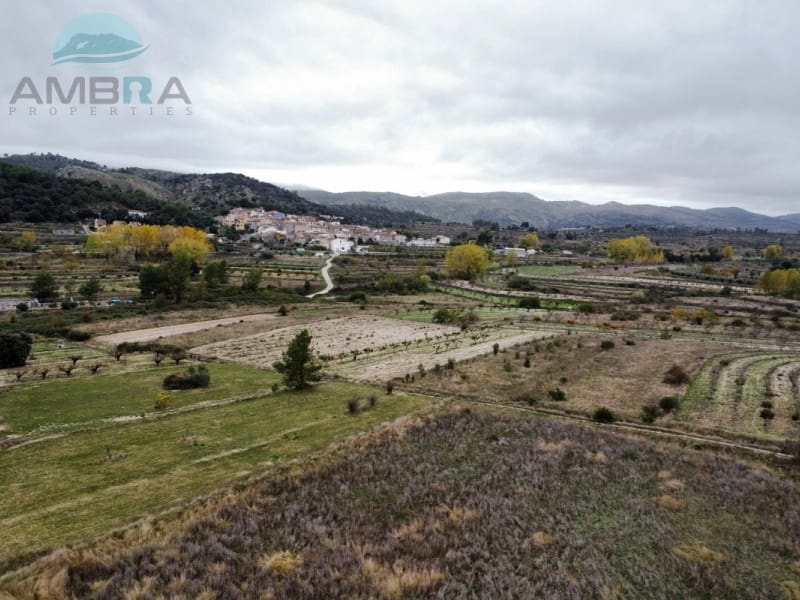 Terreno Não Urbanizado para venda em La Vall d'Alcala - 25 000 € (Ref: 9412541)