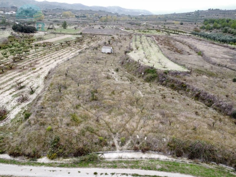 Terreno Não Urbanizado para venda em La Vall d'Alcala - 25 000 € (Ref: 9412541)