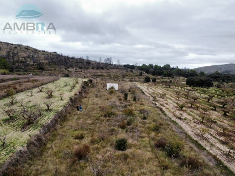 Terreno Não Urbanizado para venda em La Vall d'Alcala - 25 000 € (Ref: 9412541)