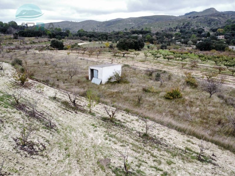 Terreno Não Urbanizado para venda em La Vall d'Alcala - 25 000 € (Ref: 9412541)