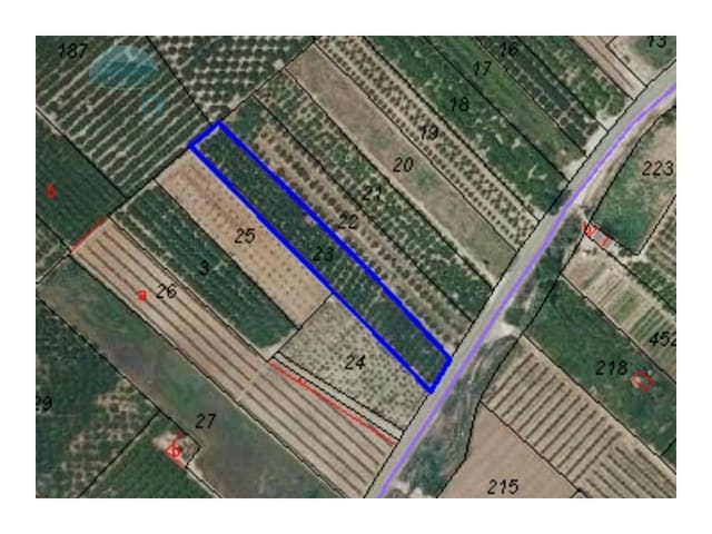 Terre non Aménagée à vendre à Pego - 19 000 € (Ref: 9412559)