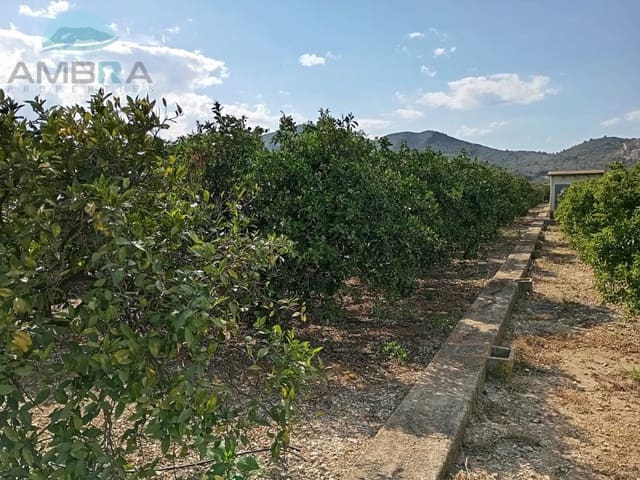 Terre non Aménagée à vendre à Pego - 19 000 € (Ref: 9412559)