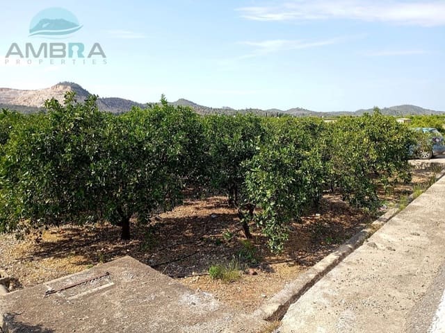 Terre non Aménagée à vendre à Pego - 19 000 € (Ref: 9412559)