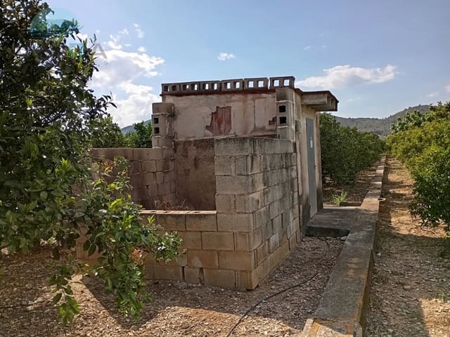 Terre non Aménagée à vendre à Pego - 19 000 € (Ref: 9412559)