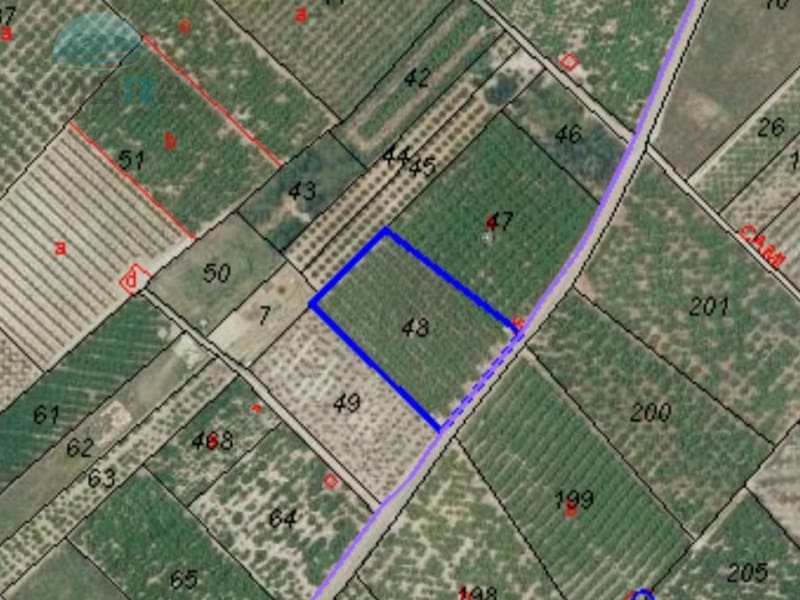 Terreno Não Urbanizado para venda em Pego - 26 500 € (Ref: 9412561)