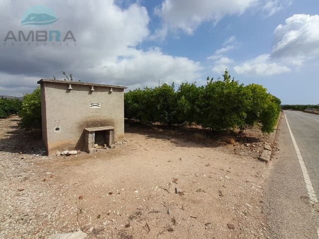 Terreno Não Urbanizado para venda em Pego - 26 500 € (Ref: 9412561)