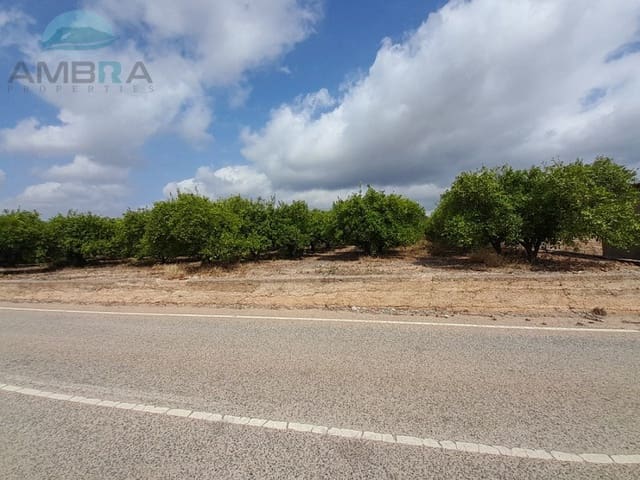 Terreno Não Urbanizado para venda em Pego - 26 500 € (Ref: 9412561)