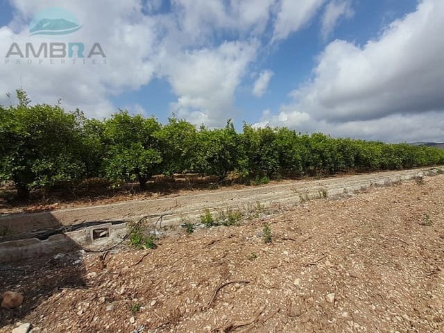 Terreno Não Urbanizado para venda em Pego - 26 500 € (Ref: 9412561)