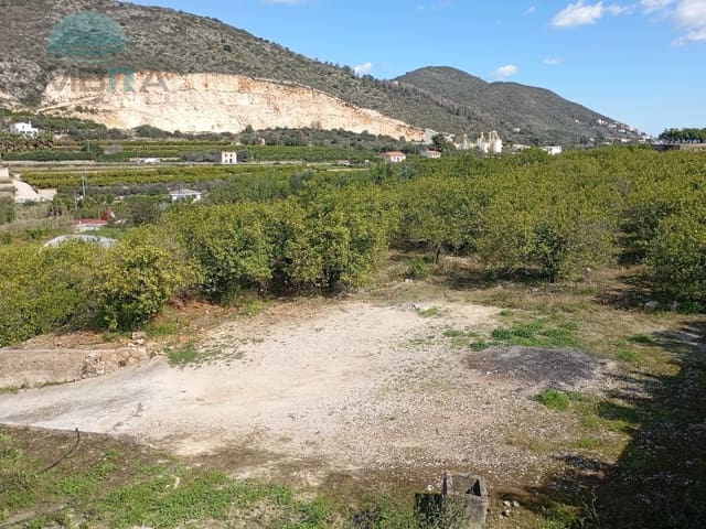 Terre non Aménagée à vendre à Pego - 22 000 € (Ref: 9412564)