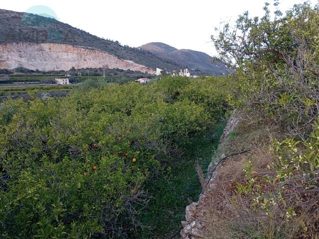 Terre non Aménagée à vendre à Pego - 22 000 € (Ref: 9412564)