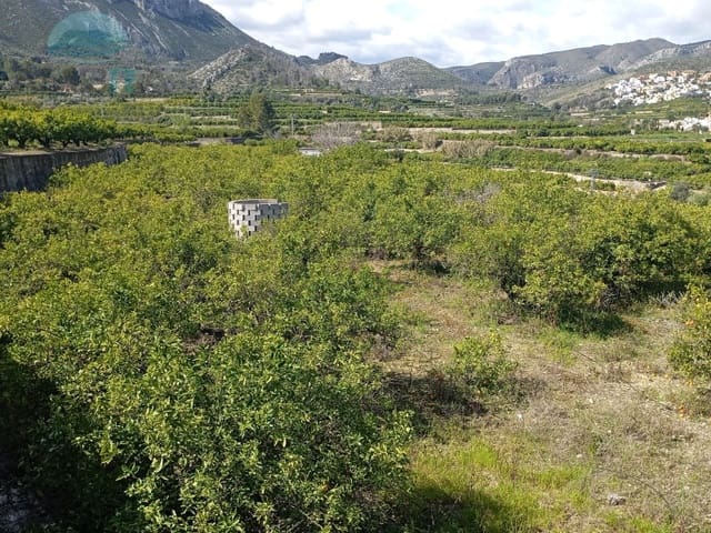 Terre non Aménagée à vendre à Pego - 22 000 € (Ref: 9412564)