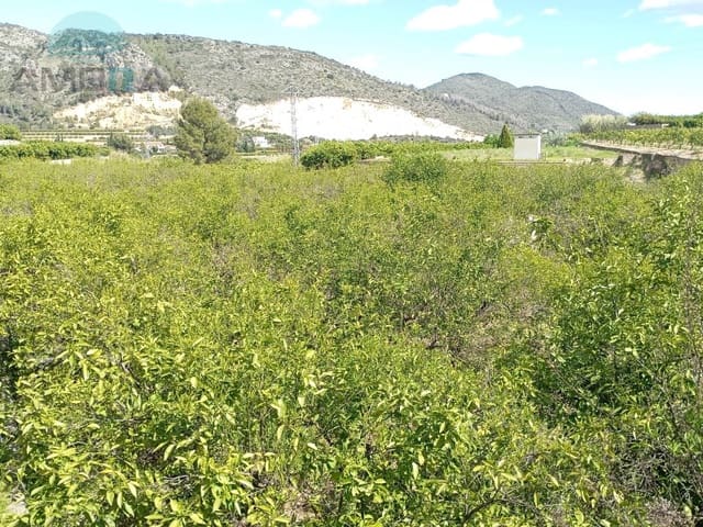 Undeveloped Land for sale in L'Atzúvia - € 30,000 (Ref: 9412568)