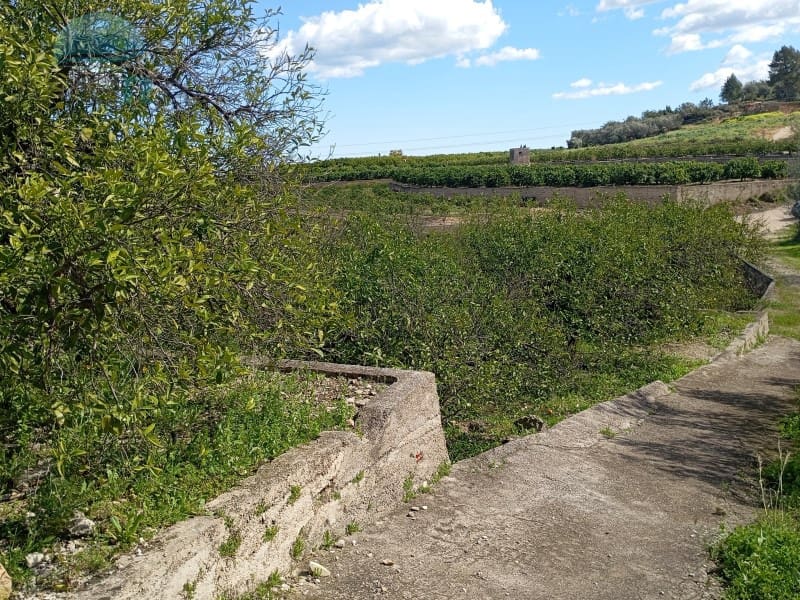 Undeveloped Land for sale in L'Atzuvia - € 30,000 (Ref: 9412568)