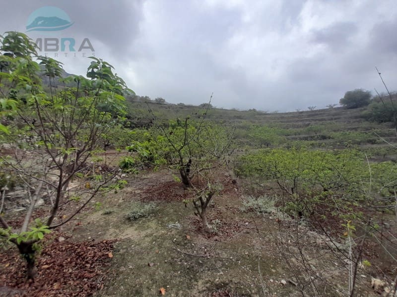 1 makuuhuone Maalaistalo myytävänä paikassa Vall de Gallinera - 39 500 € (Ref: 9412570)