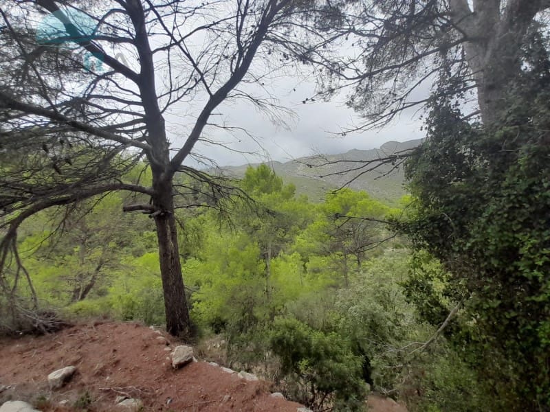 1 makuuhuone Maalaistalo myytävänä paikassa Vall de Gallinera - 39 500 € (Ref: 9412570)