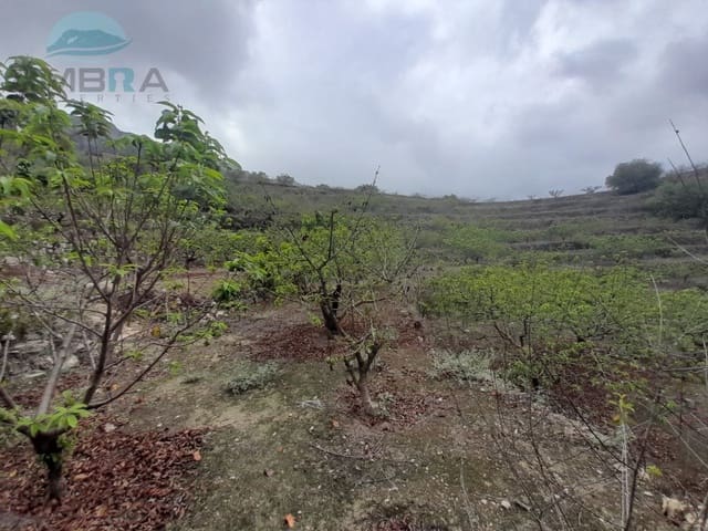 1 makuuhuone Maalaistalo myytävänä paikassa Vall de Gallinera - 39 500 € (Ref: 9412570)