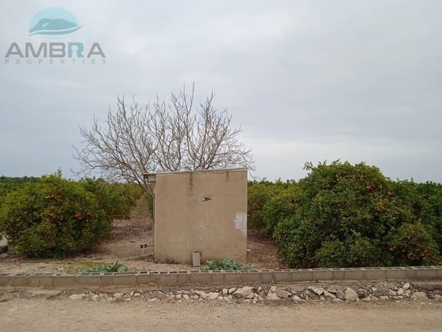 Terre non Aménagée à vendre à Pego - 24 000 € (Ref: 9412574)