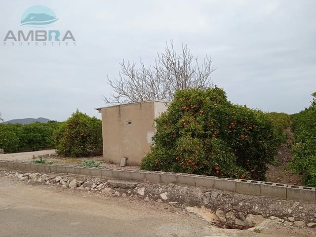 Terre non Aménagée à vendre à Pego - 24 000 € (Ref: 9412574)