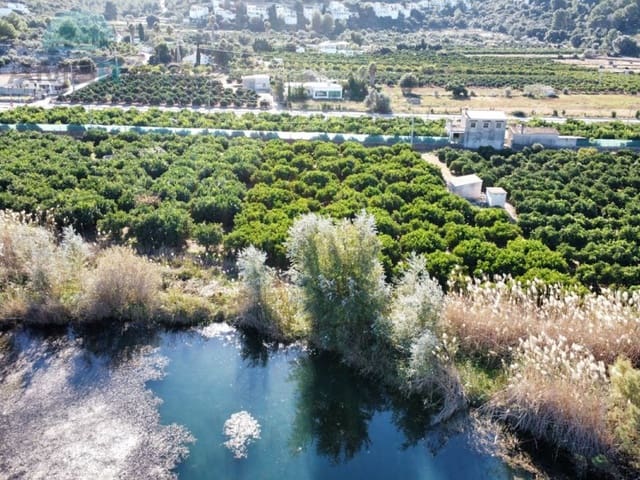 Terre non Aménagée à vendre à Pego - 25 000 € (Ref: 9424492)