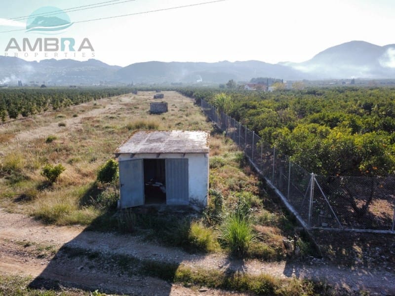 Terreno Não Urbanizado para venda em Pego - 35 000 € (Ref: 9424493)