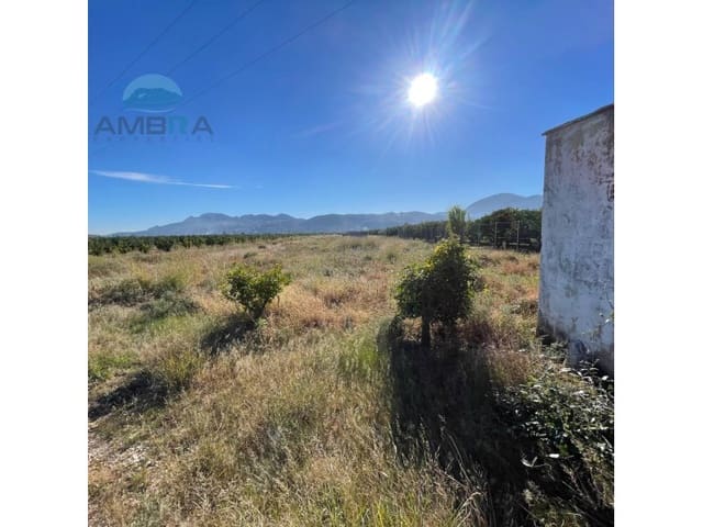 Terreno Não Urbanizado para venda em Pego - 35 000 € (Ref: 9424493)