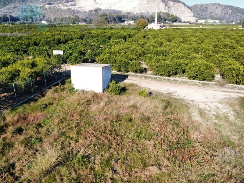 Terreno Não Urbanizado para venda em Pego - 35 000 € (Ref: 9424493)