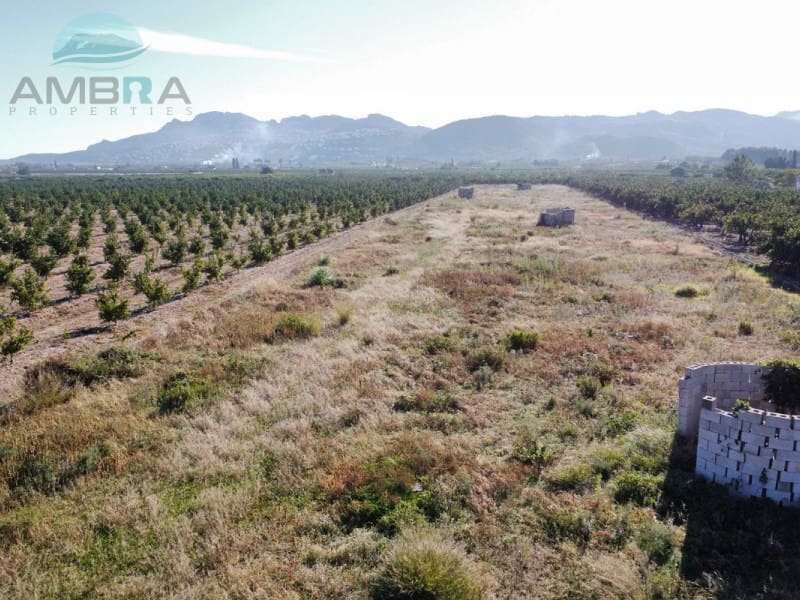 Terreno Não Urbanizado para venda em Pego - 35 000 € (Ref: 9424493)