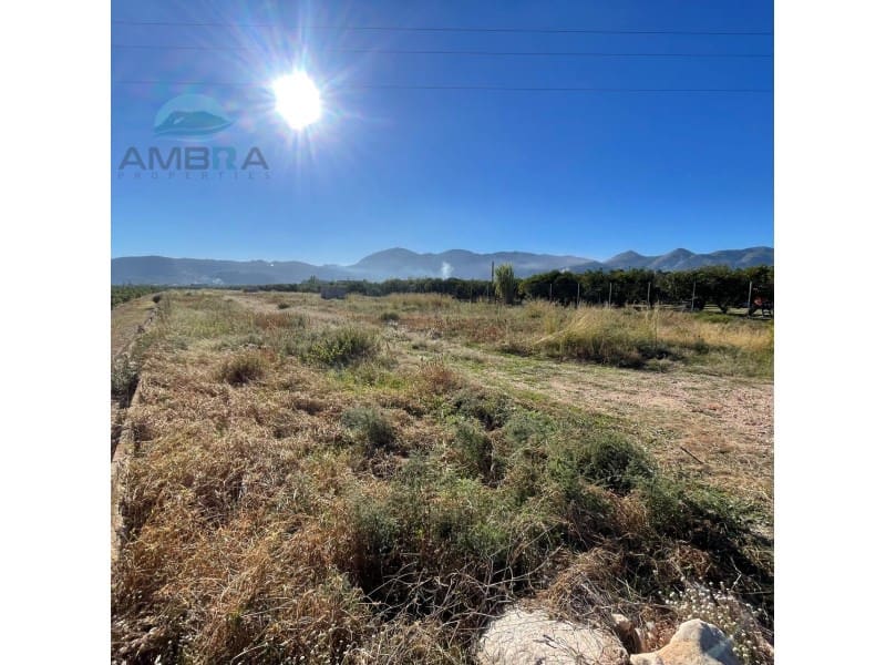 Terreno Não Urbanizado para venda em Pego - 35 000 € (Ref: 9424493)