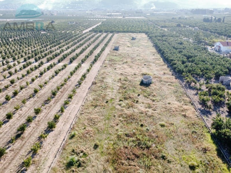 Terreno Não Urbanizado para venda em Pego - 35 000 € (Ref: 9424493)