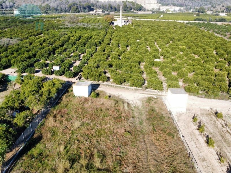 Terreno Não Urbanizado para venda em Pego - 35 000 € (Ref: 9424493)