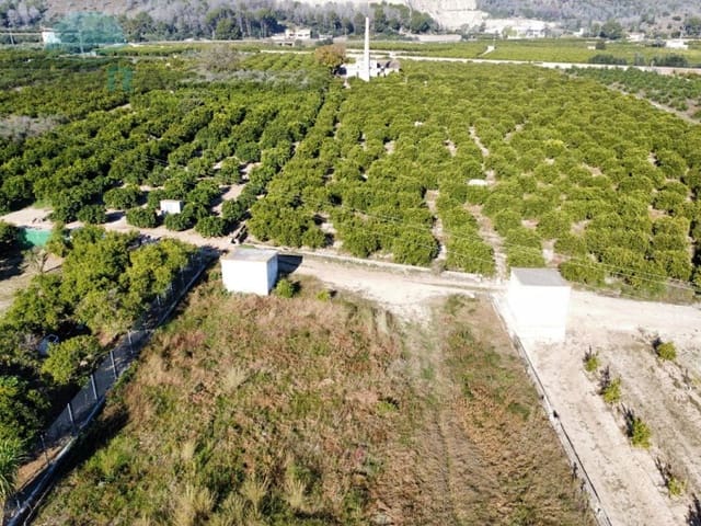 Terreno Não Urbanizado para venda em Pego - 35 000 € (Ref: 9424493)