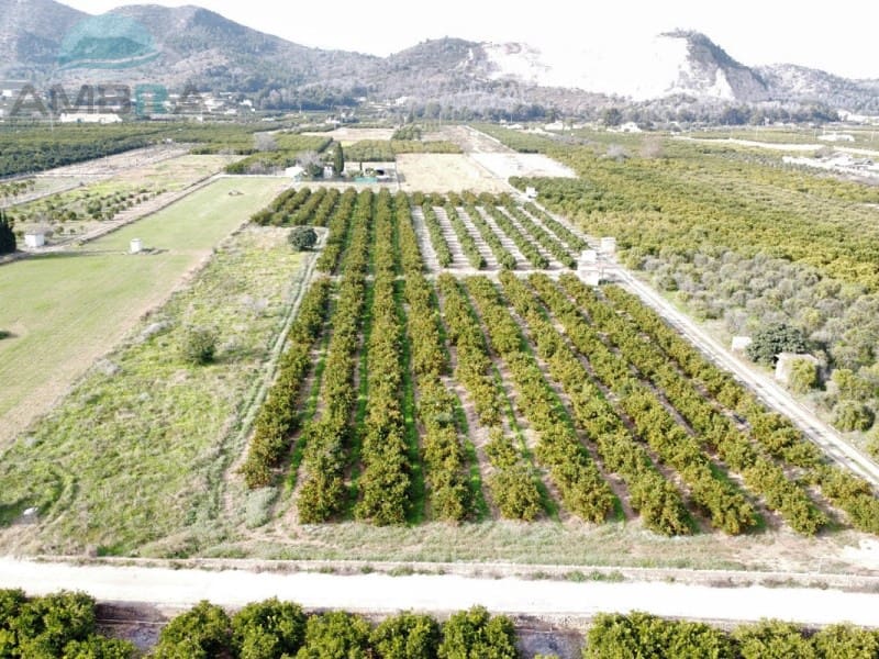 Teren niezagospodarowany na sprzedaż w Pego - 109 000 € (Ref: 9555919)