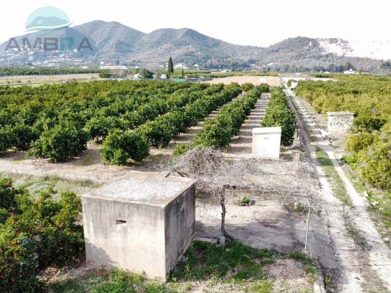 Teren niezagospodarowany na sprzedaż w Pego - 109 000 € (Ref: 9555919)