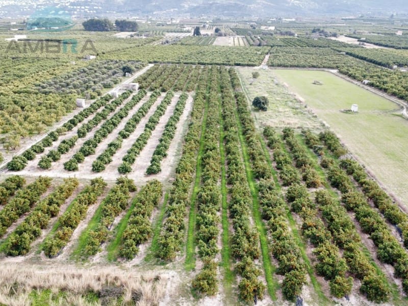 Teren niezagospodarowany na sprzedaż w Pego - 109 000 € (Ref: 9555919)