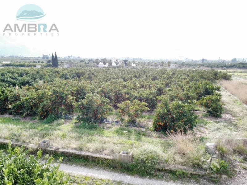 Teren niezagospodarowany na sprzedaż w Pego - 109 000 € (Ref: 9555919)