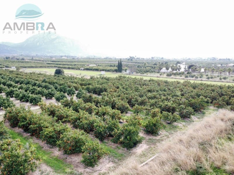 Teren niezagospodarowany na sprzedaż w Pego - 109 000 € (Ref: 9555919)