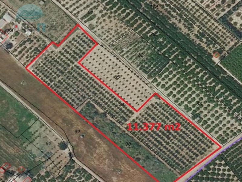 Teren niezagospodarowany na sprzedaż w Pego - 109 000 € (Ref: 9555919)