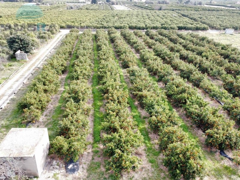 Teren niezagospodarowany na sprzedaż w Pego - 109 000 € (Ref: 9555919)