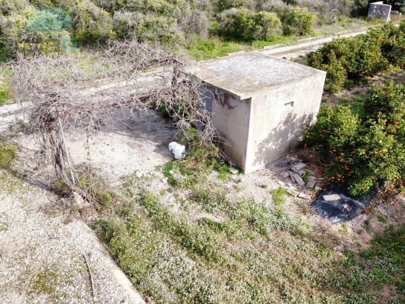 Teren niezagospodarowany na sprzedaż w Pego - 109 000 € (Ref: 9555919)