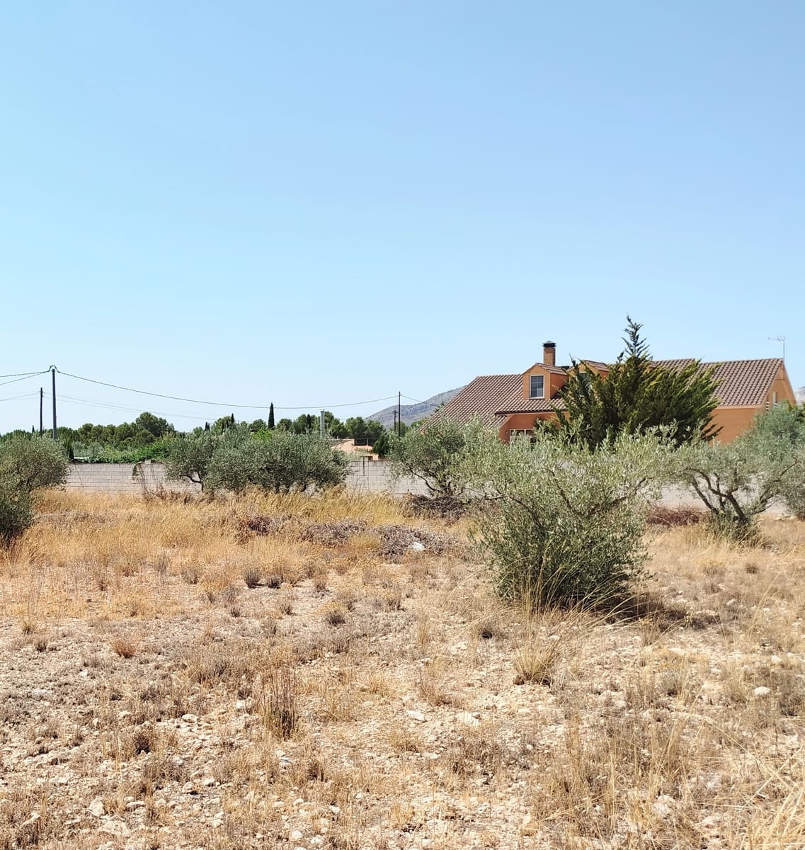 4 bedroom Villa for sale in Yecla with pool garage - € 685,000 (Ref: 10029865)