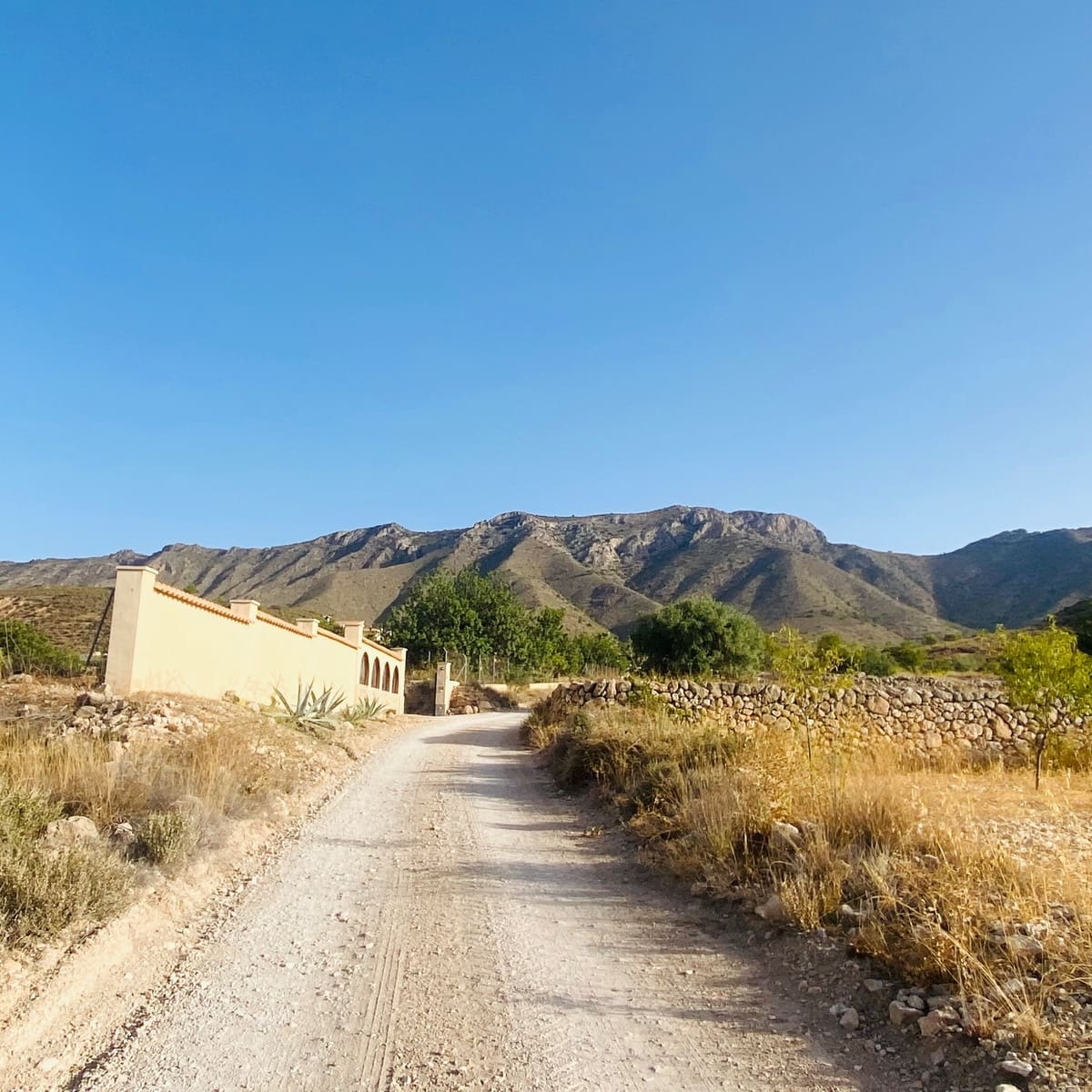 4 camera da letto Villa in vendita in Hondon de las Nieves con piscina garage - 545.000 € (Rif: 10047575)