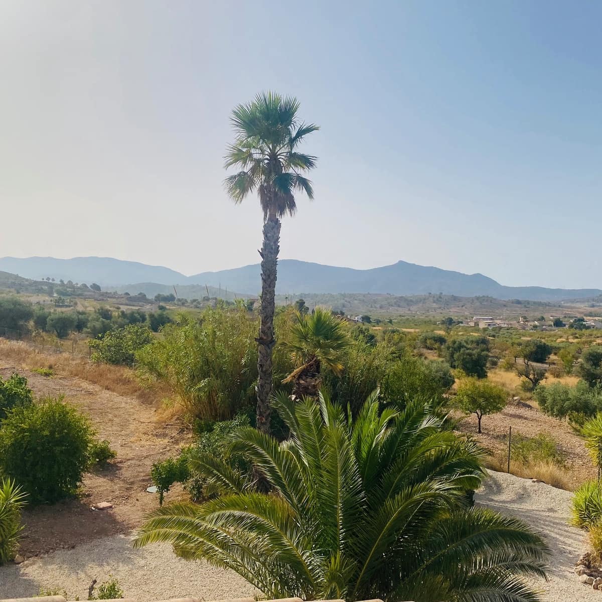 4 camera da letto Villa in vendita in Hondon de las Nieves con piscina garage - 545.000 € (Rif: 10047575)