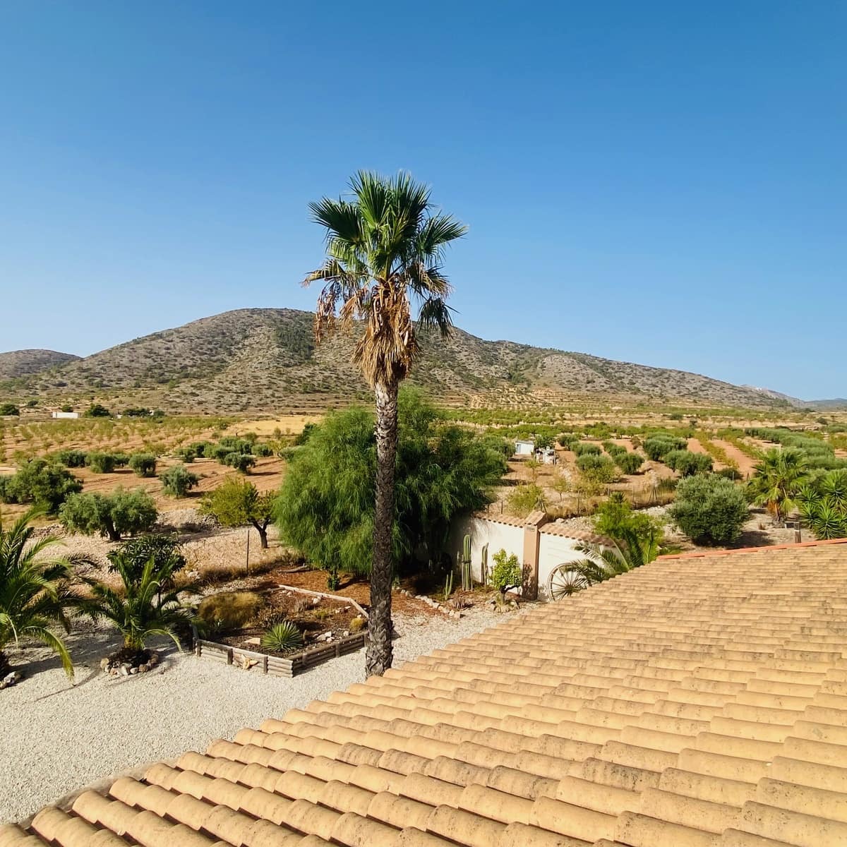 4 camera da letto Villa in vendita in Hondon de las Nieves con piscina garage - 545.000 € (Rif: 10047575)